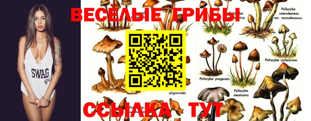 как найти наркотики  Вход с VPN  Егорьевск  Псилоцибиновые грибы прущие грибы 